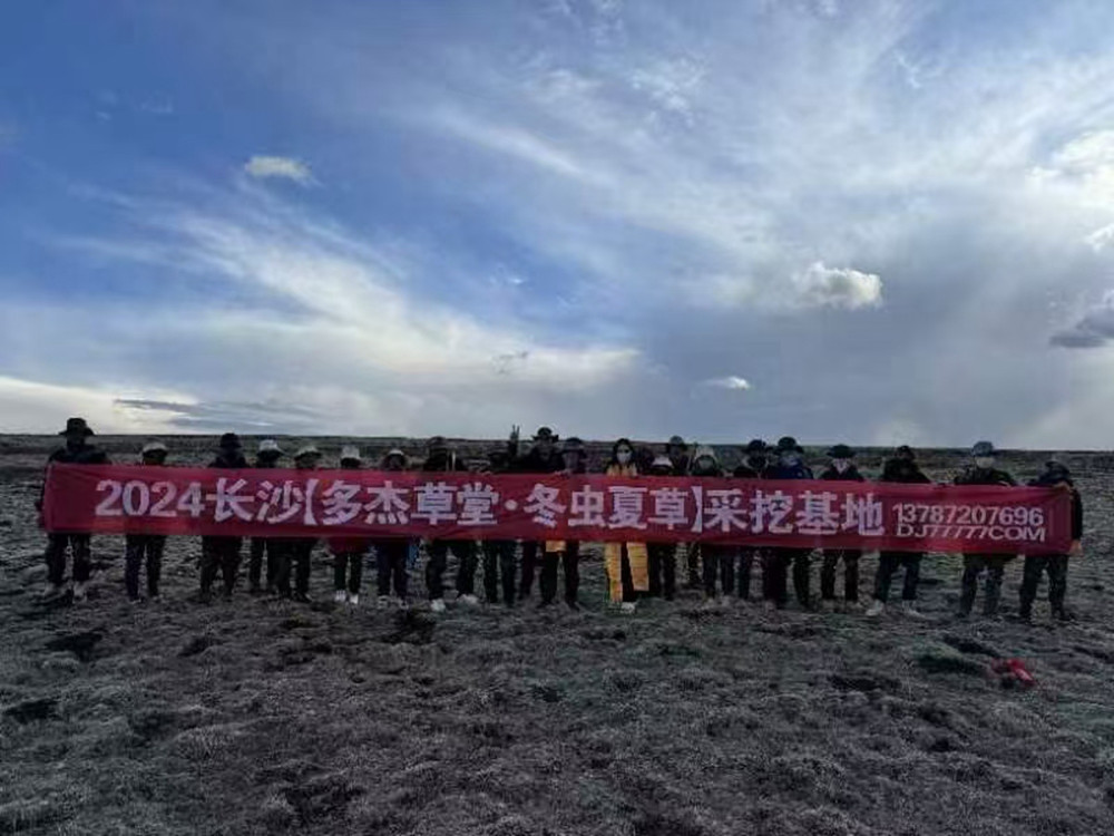 长沙虫草专营多杰草堂2024年最新产品